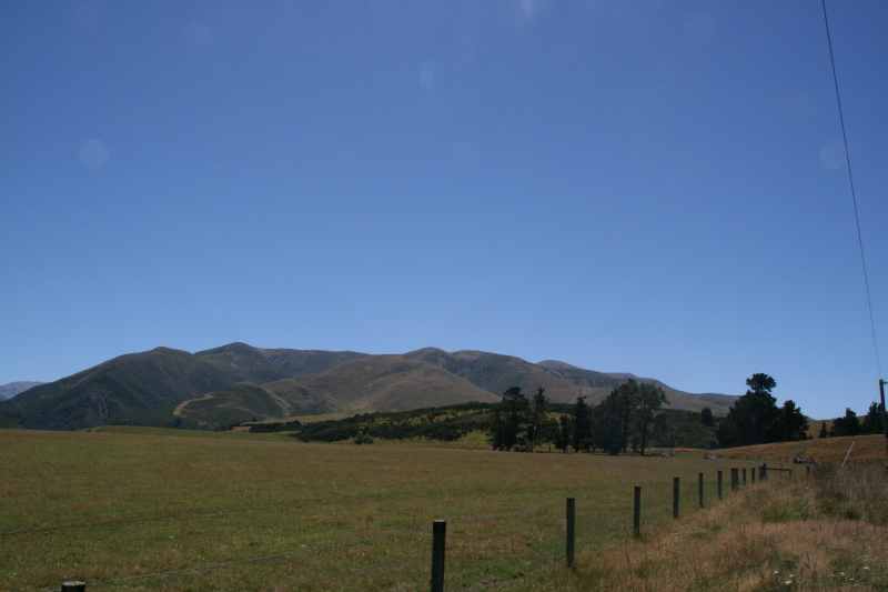 Nieuw-Zeeland 2011 - 1265